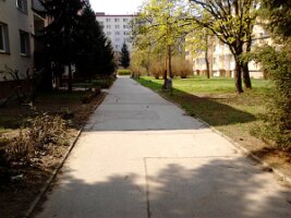img_20130424_112038 (6)