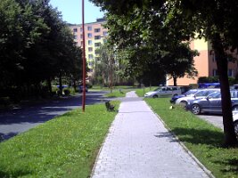 pict0067 (4)