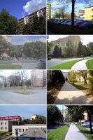 pict0218-COLLAGE