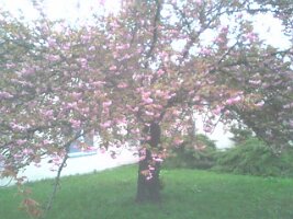 060501_063924-1