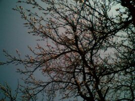 070326_140656