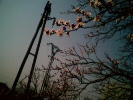 070326_141336