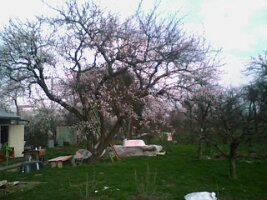 070328_161814