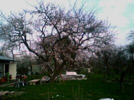 070328_161859