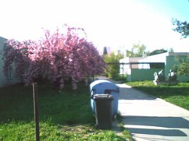 070422_083901