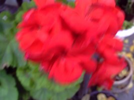 pict0044