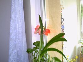pict0141