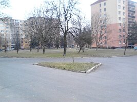 IMG_20130309_100721