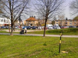 IMG_20130424_105014