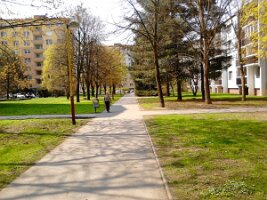 IMG_20130424_111920
