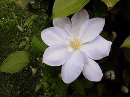 IMG_20130528_132720