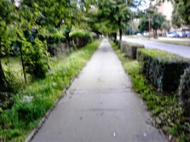IMG_20140531_181431