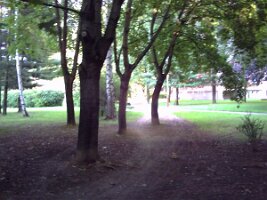pict0238