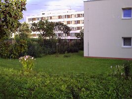 pict0244