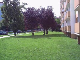 pict0316